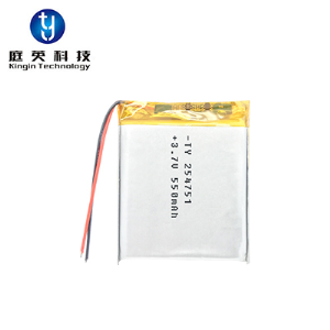 Brand polymer lithium battery pack 254751